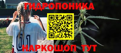 крисы Краснокаменск