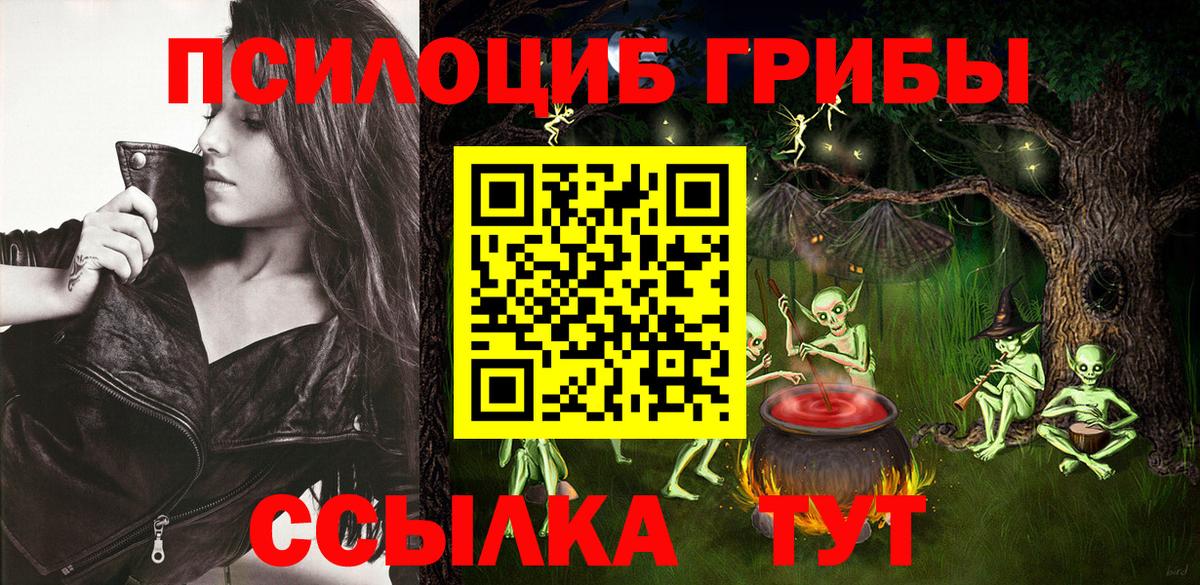 Шатура  Псилоцибиновые грибы GOLDEN TEACHER  Вход с VPN 